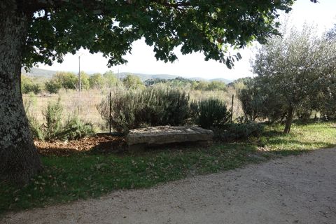 Garten mit Steinbank