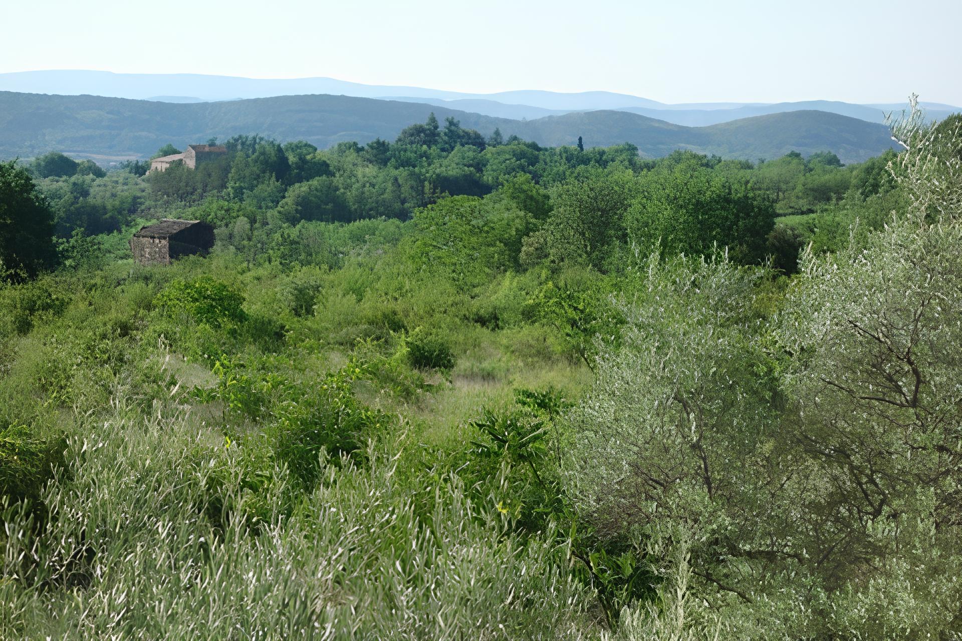 Blick aus dem Wohnzimmer